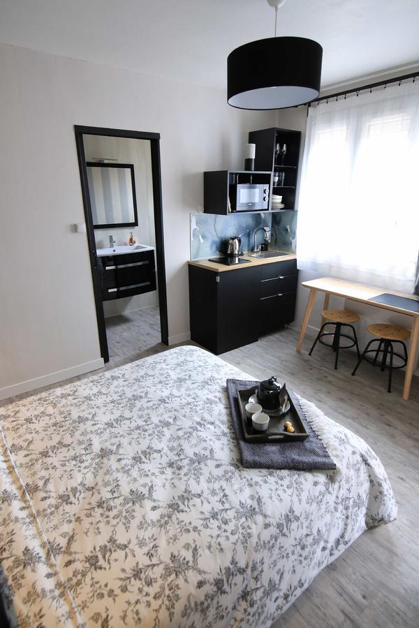 Le Nid Bord De La Loire Apartment Orleans Ngoại thất bức ảnh